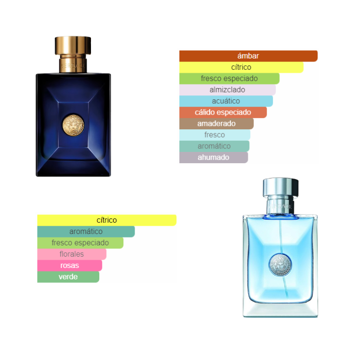 Versace Pour Homme Dylan Blue / Versace Pour Homme